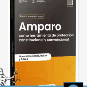 Amparo Como Herramienta De Protección Constitucional y Convencional