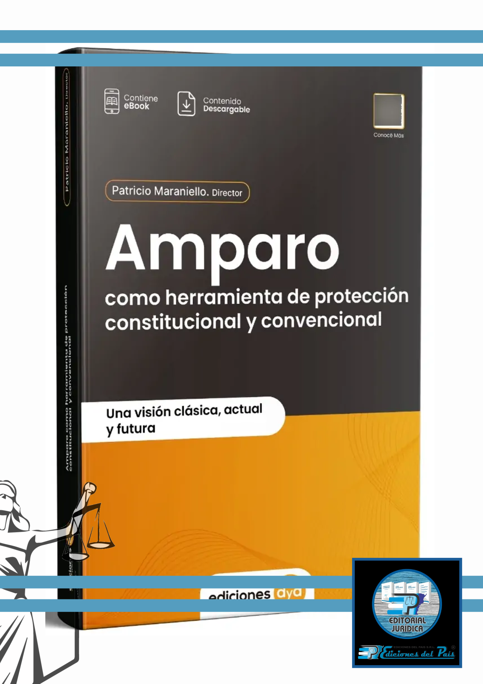 Amparo Como Herramienta De Protección Constitucional y Convencional